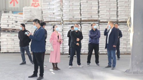 新蒲建设集团领导参观考察凯发K8